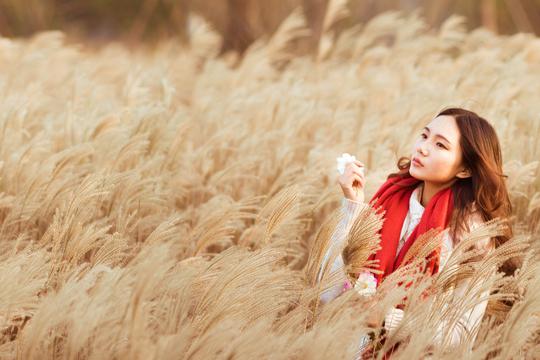 合肥宠物领养中心(宠物养不了该送哪里去)