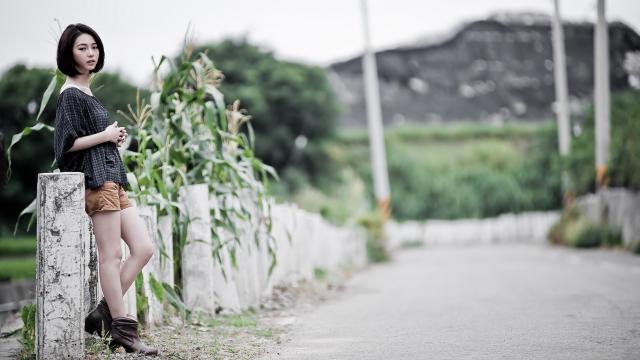 福鳄鱼的照片(哪些鱼适合办公室饲养)